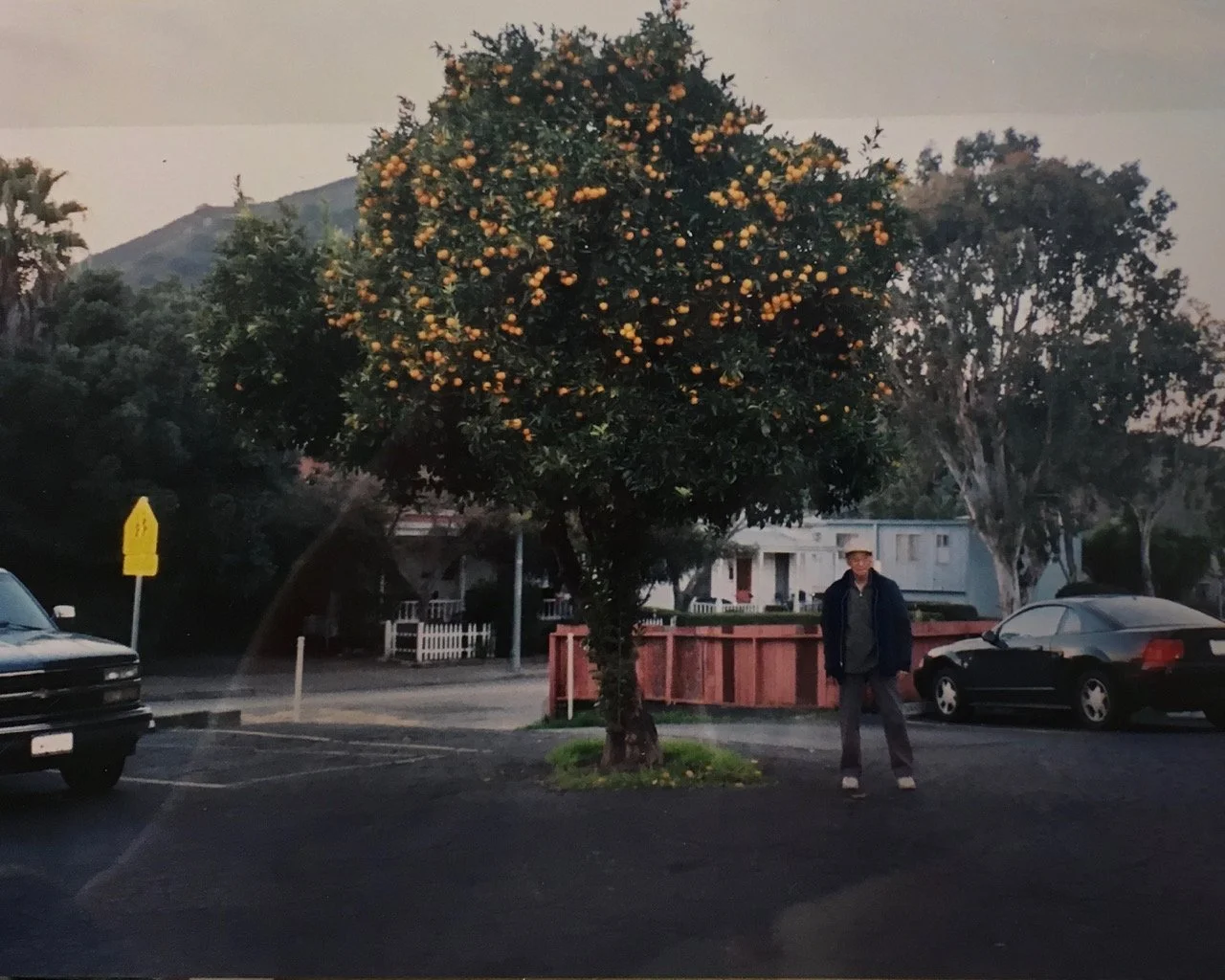 Man standing next to a tree with orange fruits in a parking lot, with houses and mountains in the background during dusk.