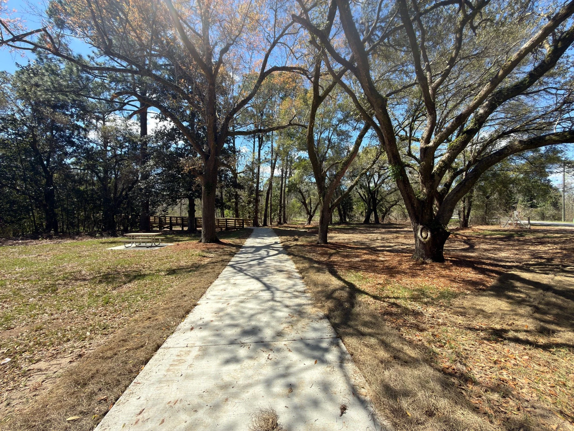 A paved walking trail in a park surrounded by trees with long shadows cast on the ground, a picnic table on the left, and a wooden fence in the background under a clear blue sky.