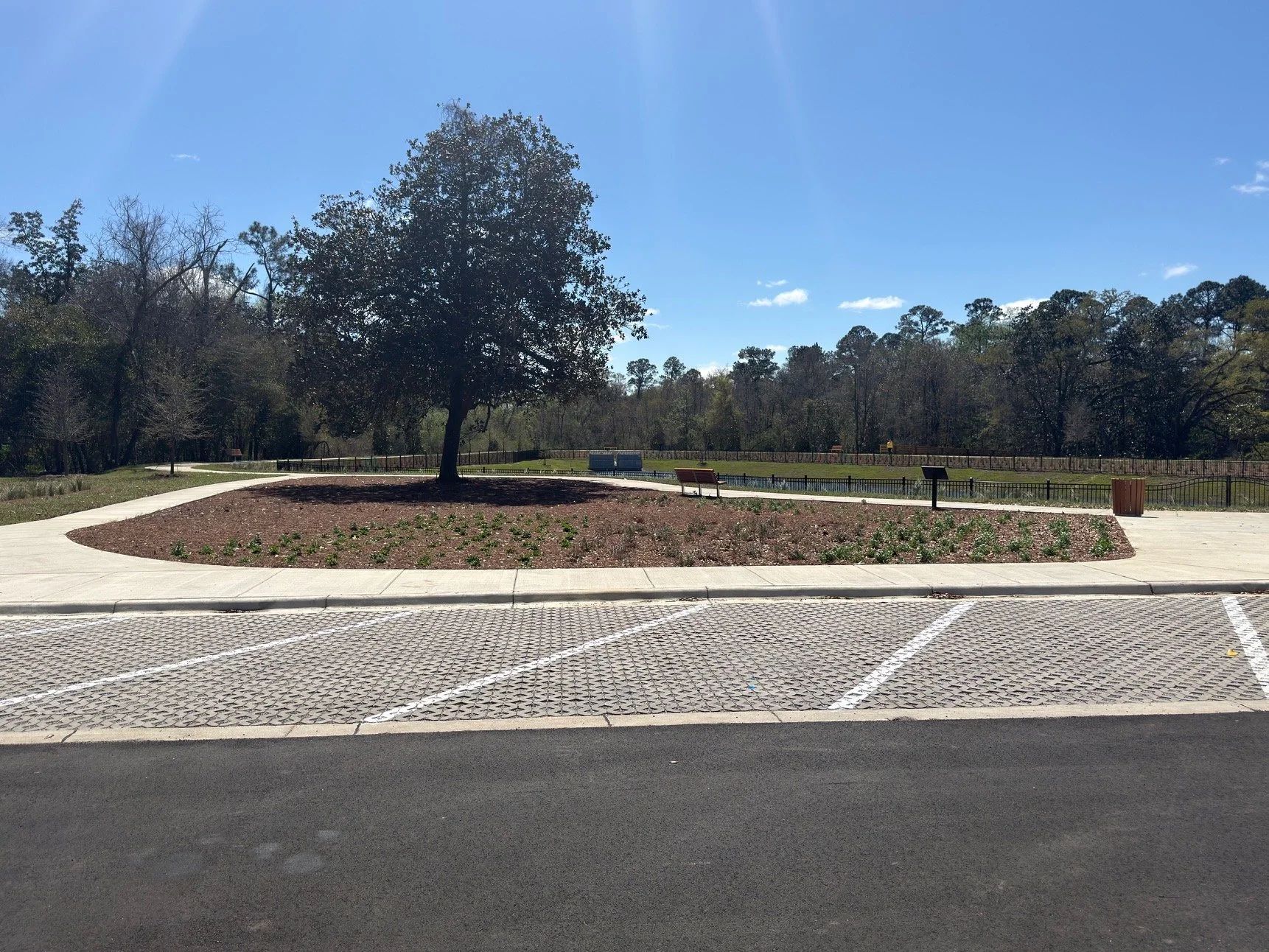 Empty parking lot with a landscaped area featuring a large tree, benches, trash cans, and a fence in the background, under a clear blue sky.