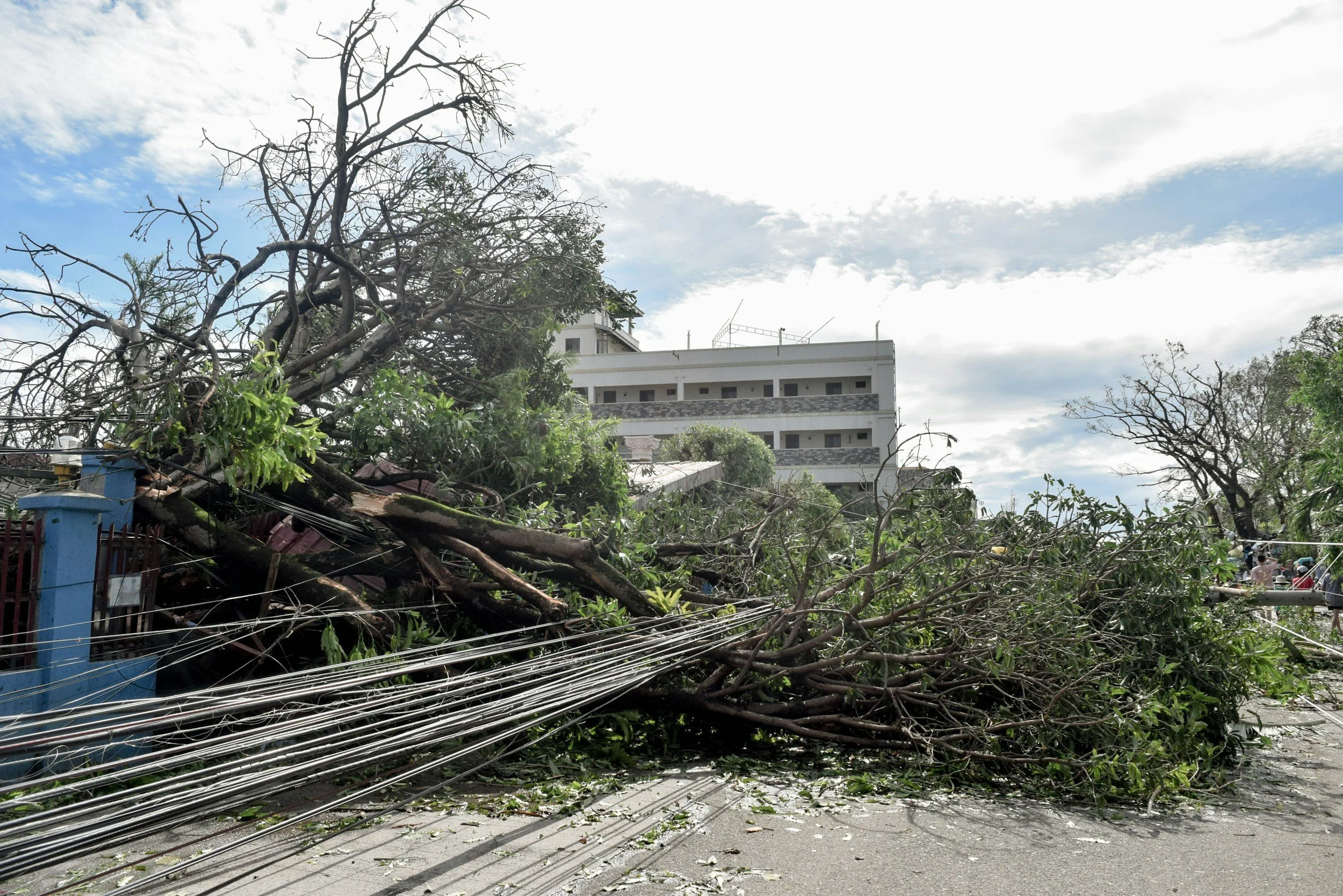 Fallen tree and damaged power lines blocking a street after a storm or natural disaster, with a building and cloudy sky in the background.