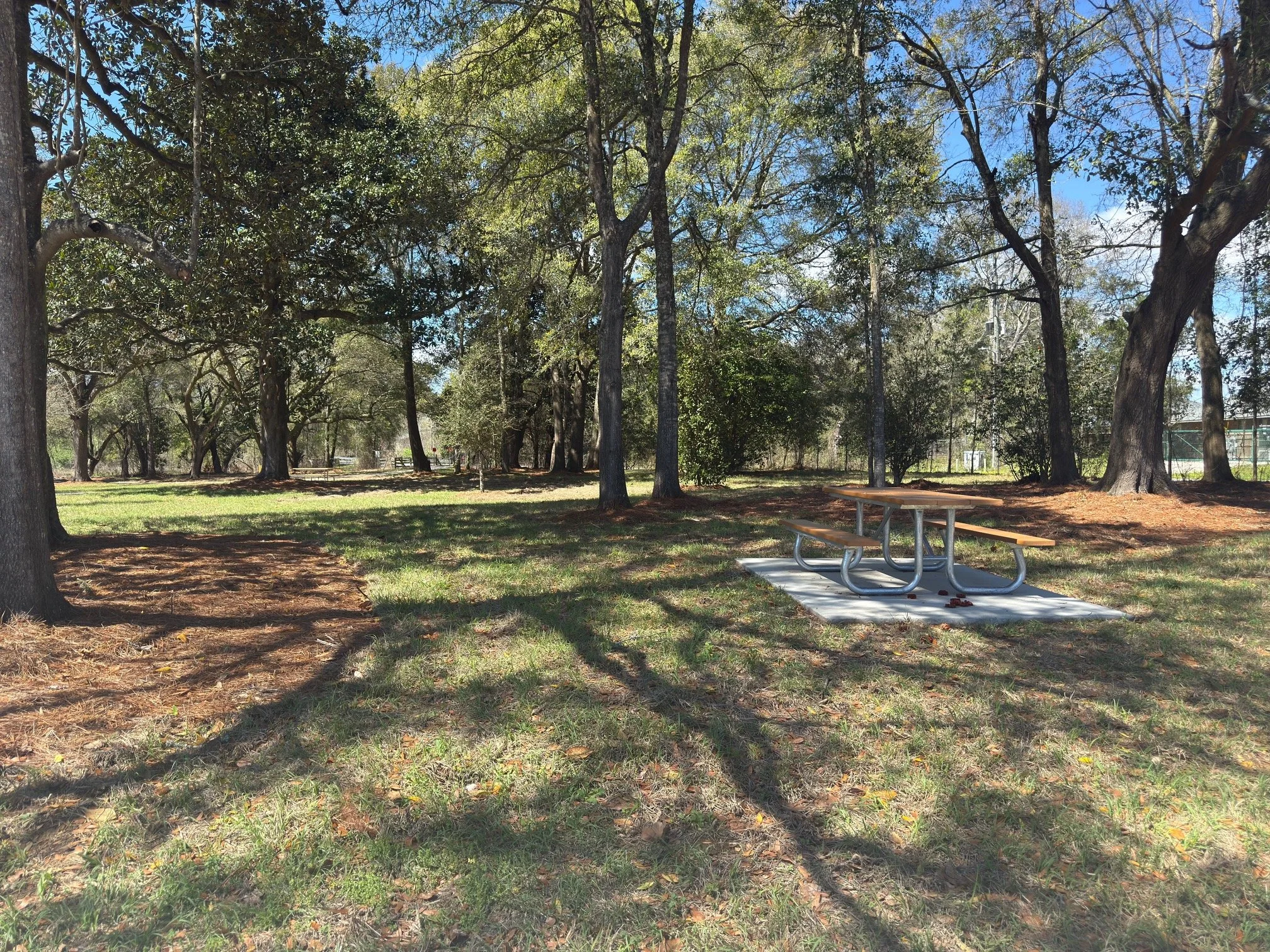 A park with tall trees, sunlight casting shadows on the grass, and a picnic table with benches on a concrete pad.