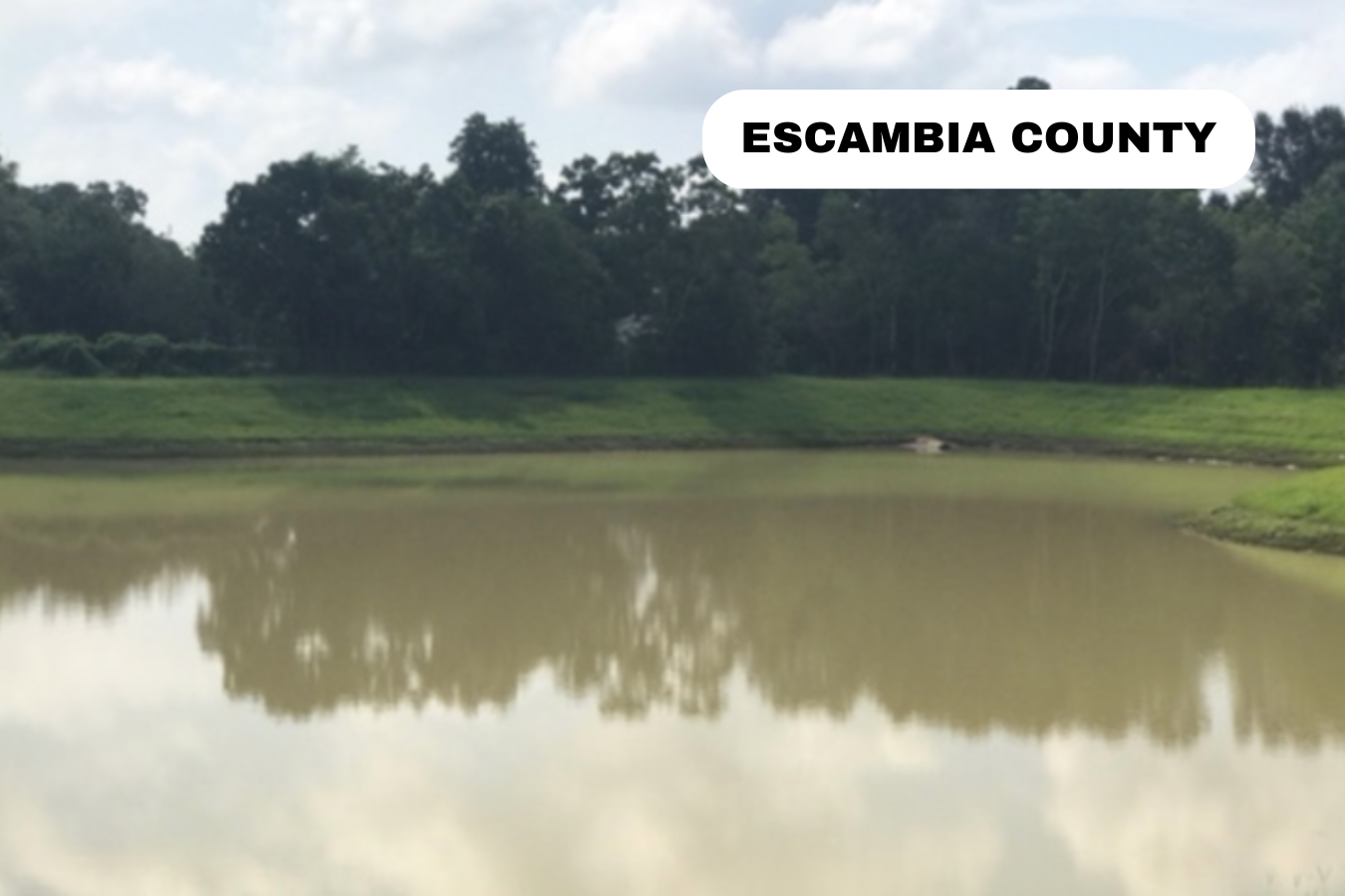 A body of water with reflections of trees and greenery along the shoreline, with a label indicating Escambia County.