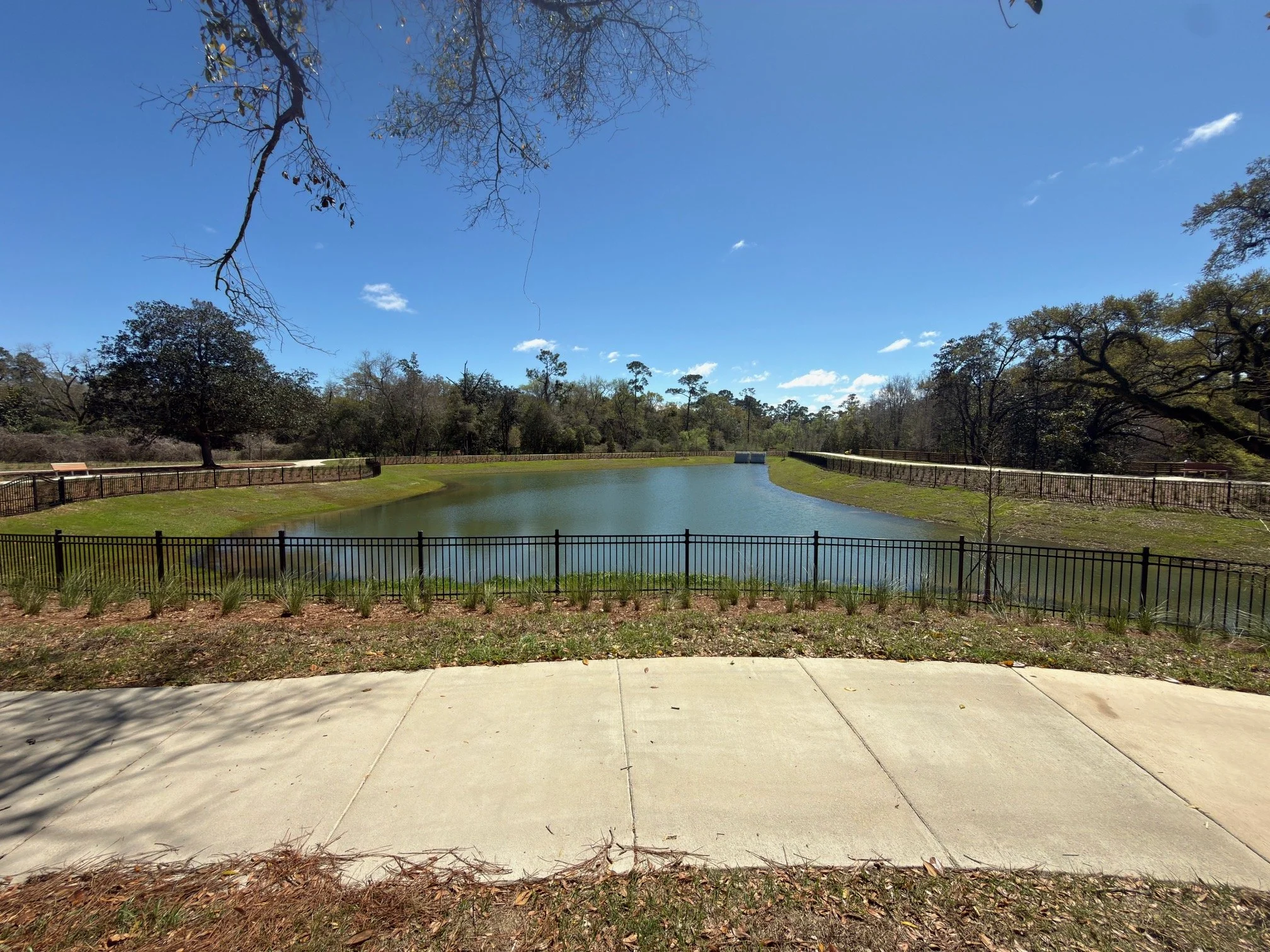 A park with a small pond, surrounded by a black metal fence, with trees and a walking path on either side. The sky is clear and blue with some clouds.