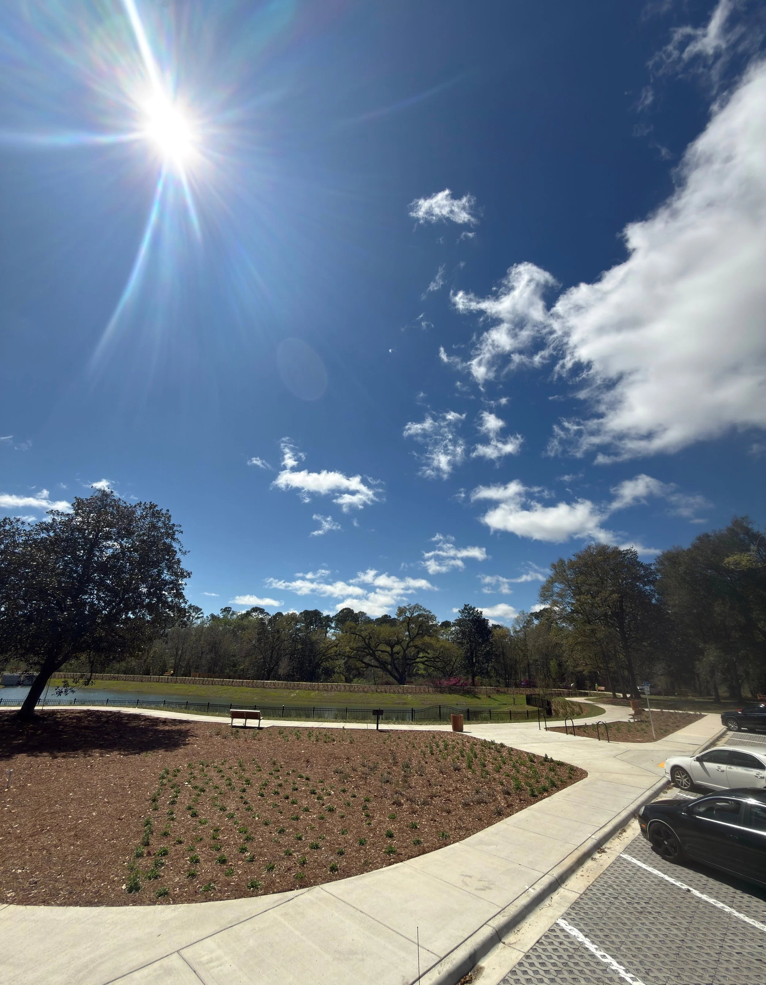 Sunny day in a park with a clear blue sky, fluffy clouds, a pond, trees, a walking path, a bench, and parked cars.