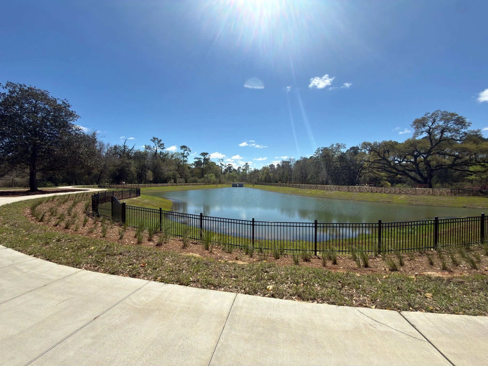 A peaceful park pond with a metal fence around it, trees on either side, and a bright sunny sky.