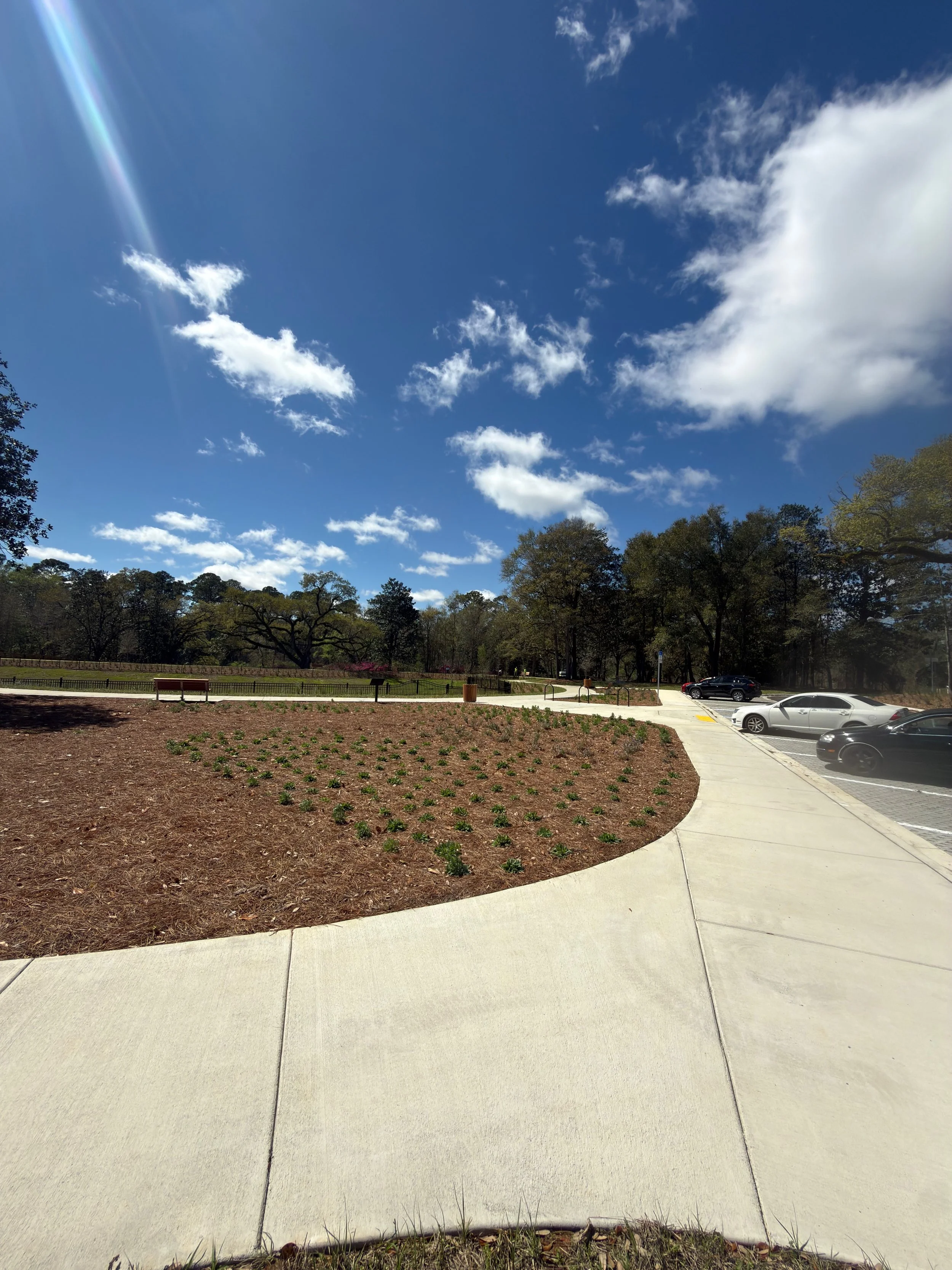 A sidewalk next to a landscaped area with newly planted small shrubs, a parking lot with cars, and trees in the background under a clear sky with scattered clouds.