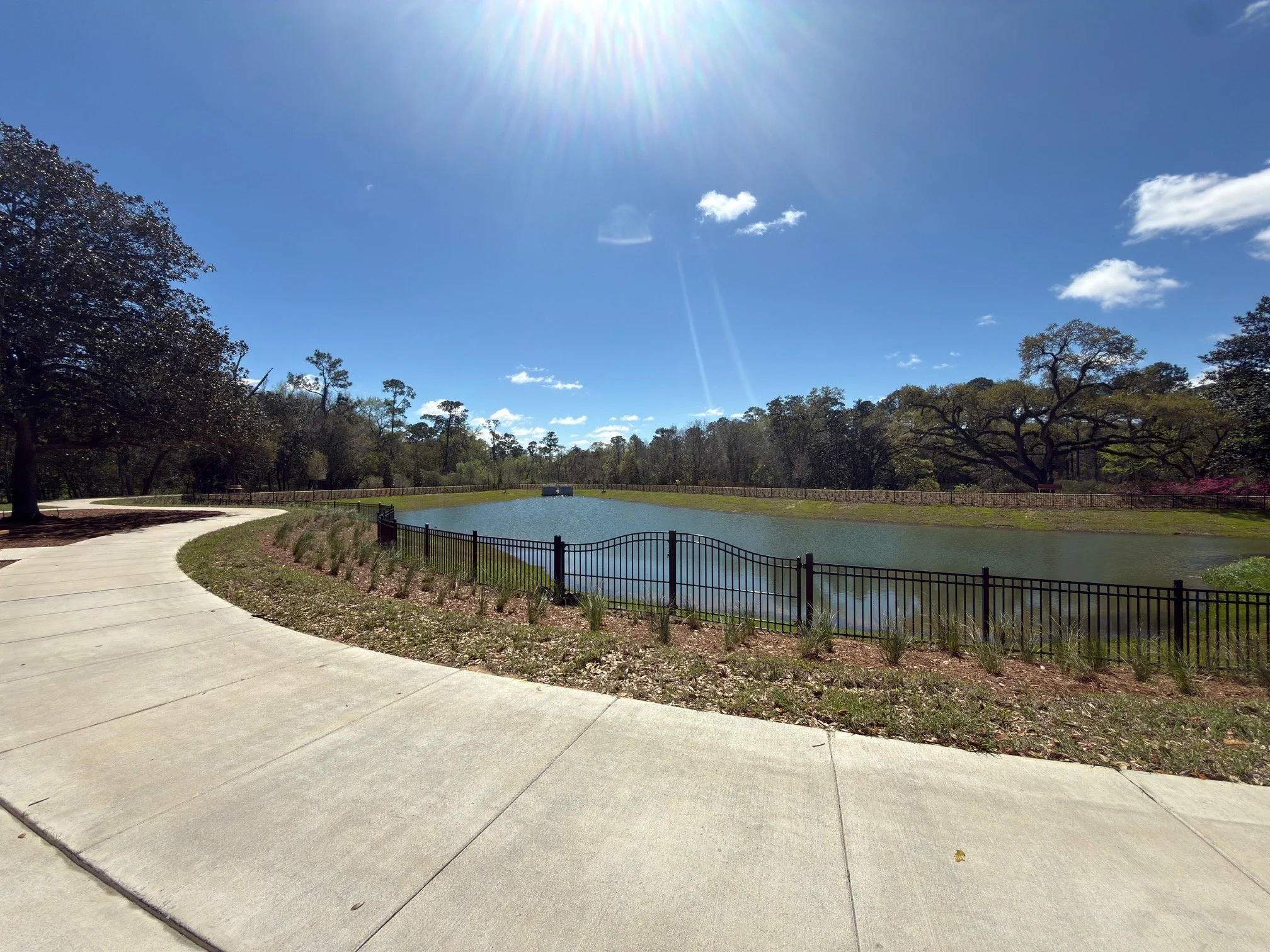 A park with a curved concrete walkway, a fence surrounding a small pond, and trees under a bright blue sky with some clouds.