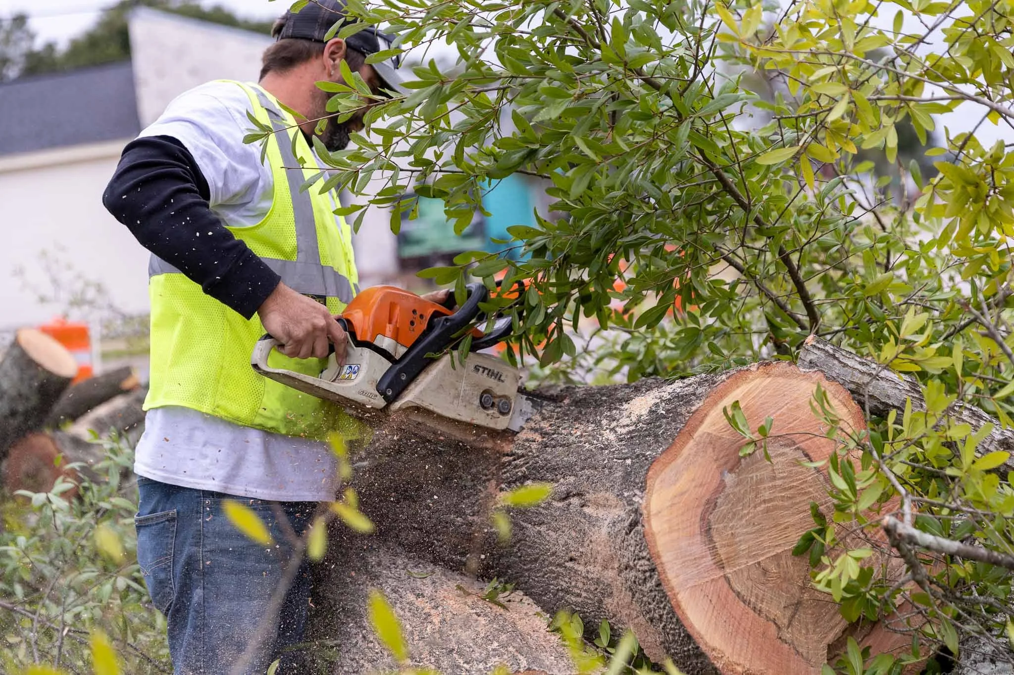 A man in a high-visibility vest uses a chainsaw to cut a fallen tree trunk, with green leaves around him.