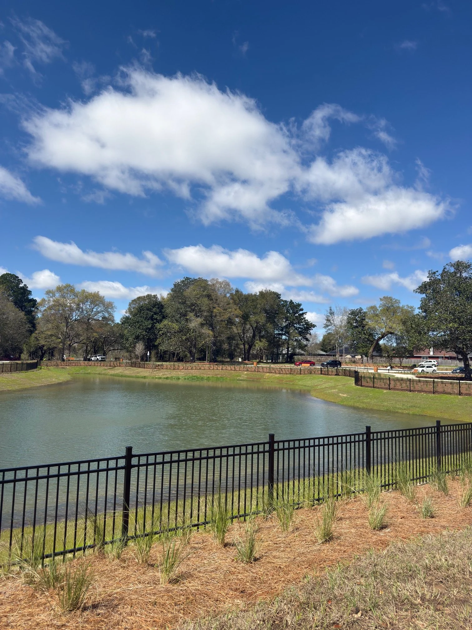 A small pond surrounded by a black metal fence with grass and small plants in the foreground, trees in the background, and a bright blue sky with scattered white clouds.
