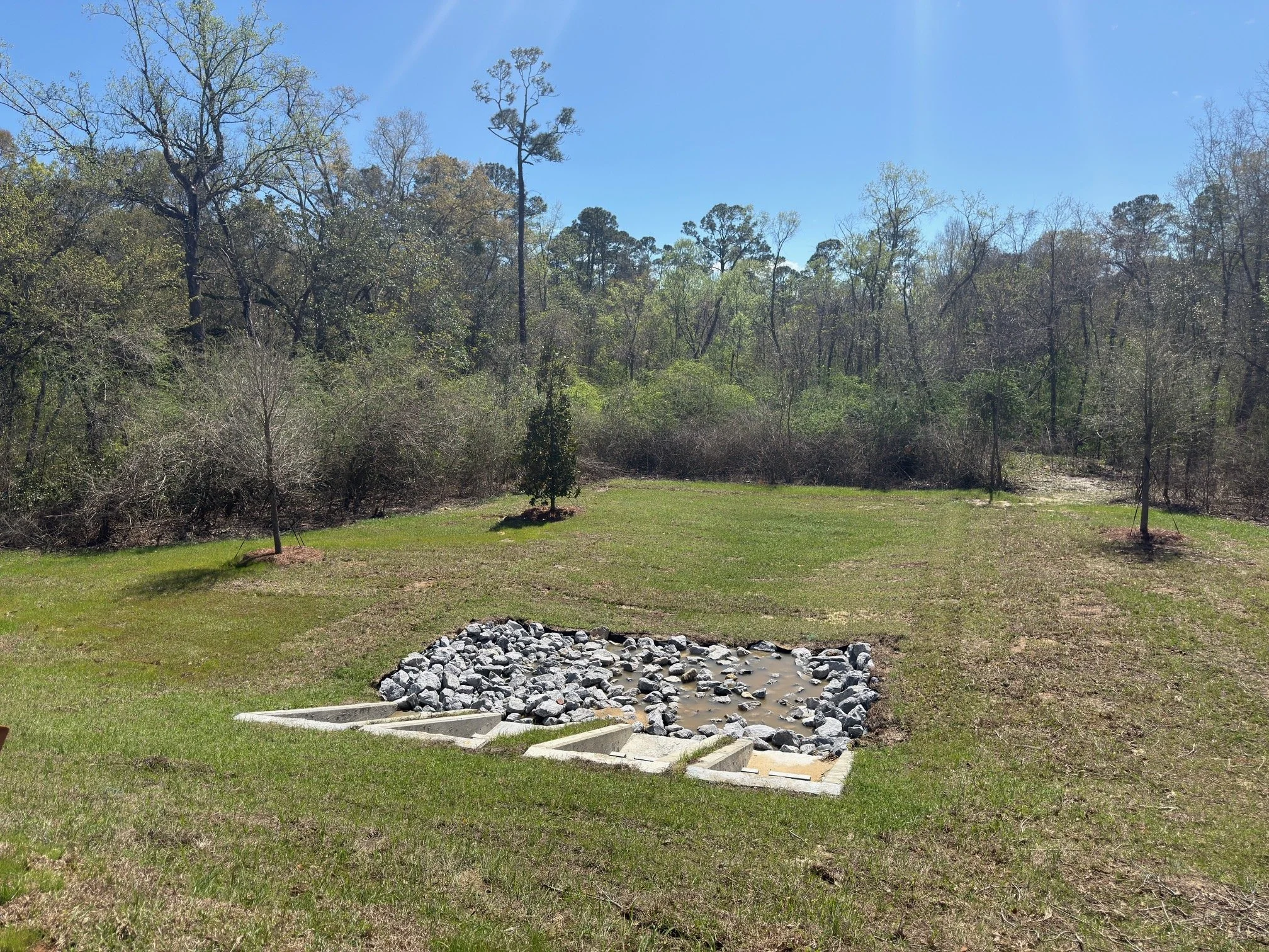 A grassy yard with small trees and a wooded background, featuring a fire pit area with rocks and concrete steps, under a clear blue sky.