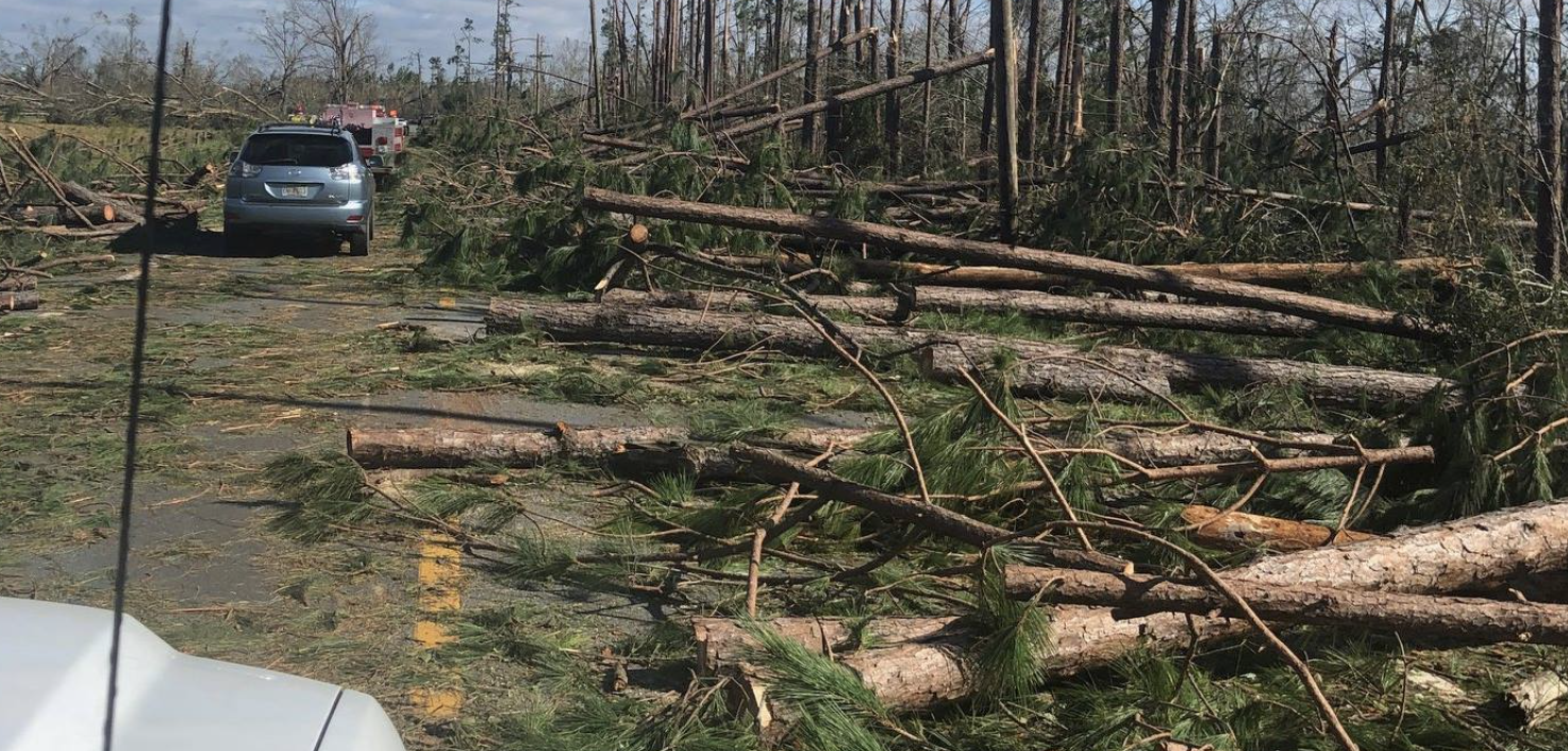 A road blocked by fallen trees and debris after a storm, with emergency vehicles in the background.