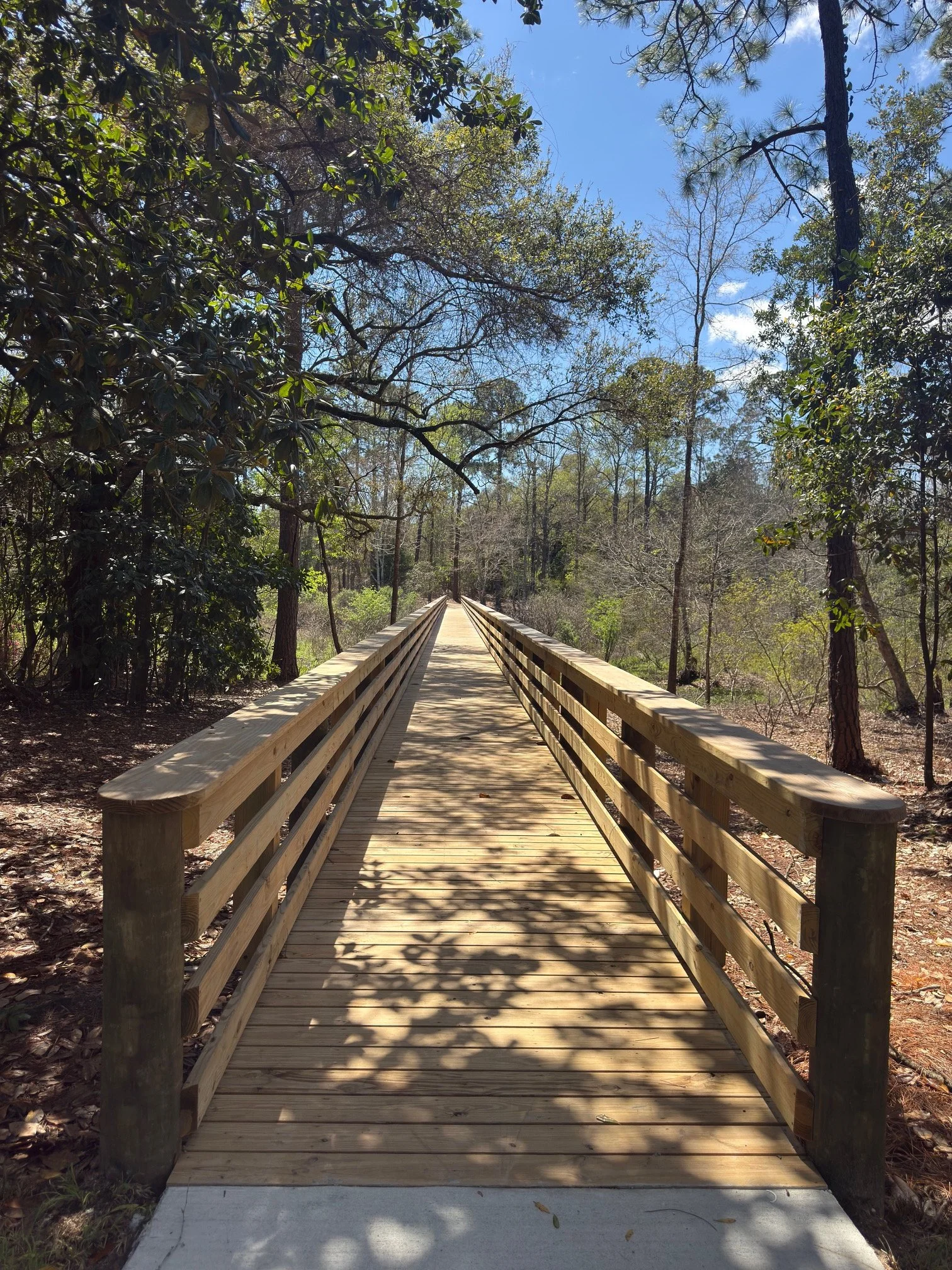 Wooden bridge on a forest trail with trees and blue sky in the background.