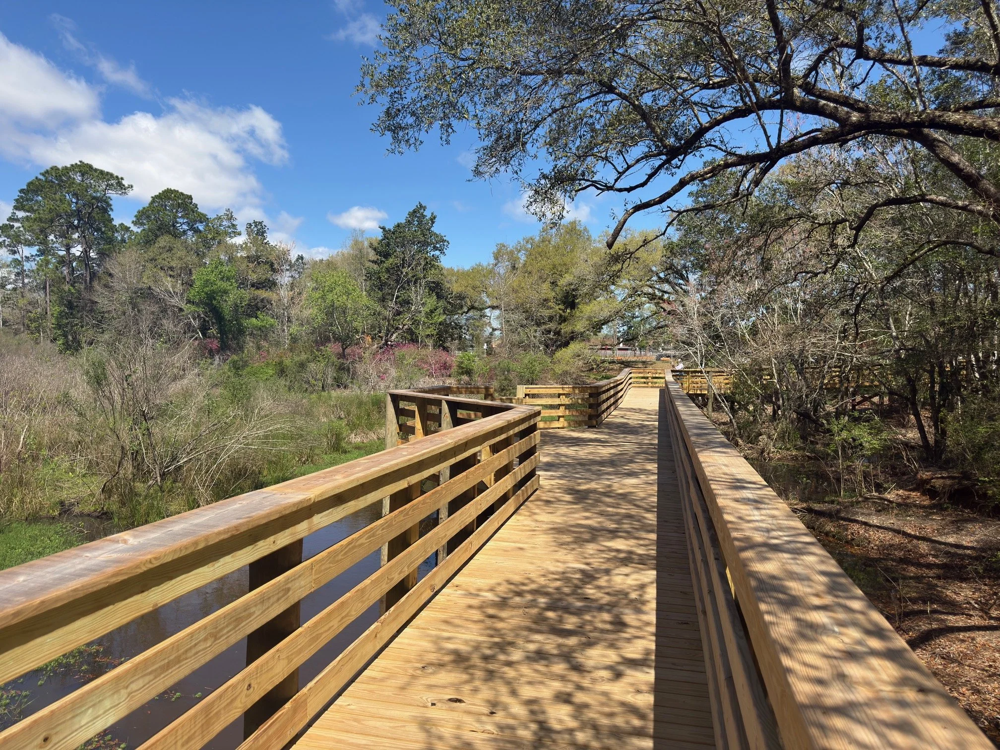 Wooden boardwalk surrounded by trees and a small waterway, under a blue sky with scattered clouds.