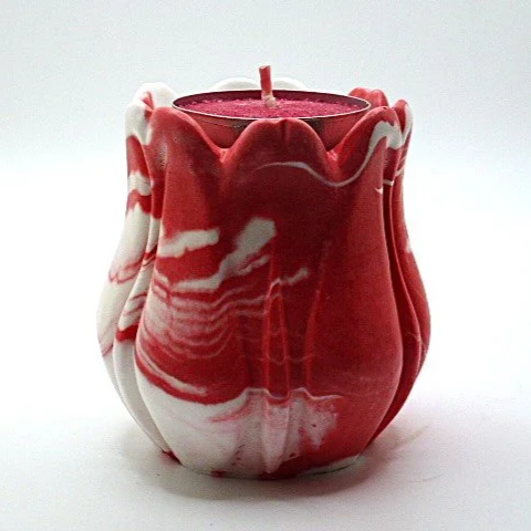 red+white+tulip.png