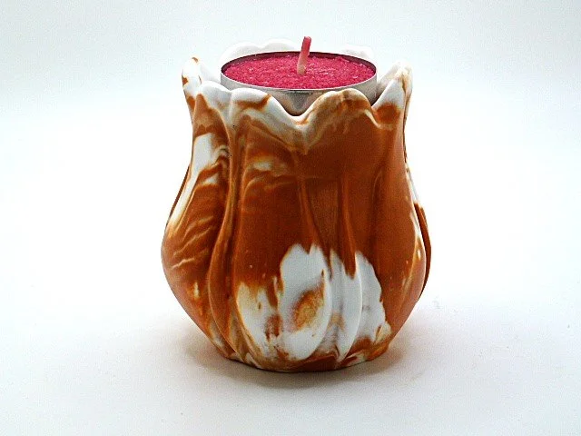orange white tulipa.JPG