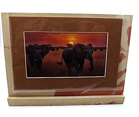 elephant+b.png