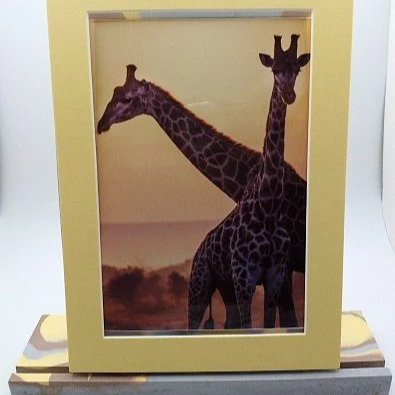 giraffe+a.png