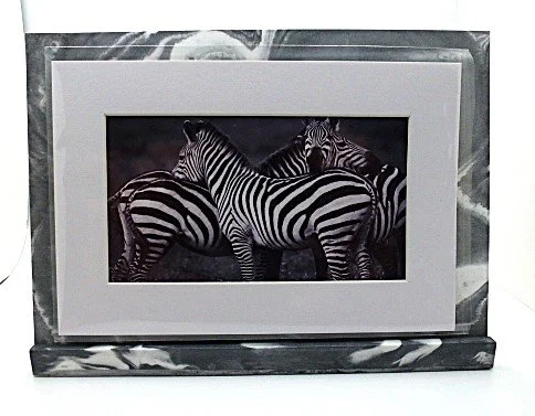 zebra+b.png