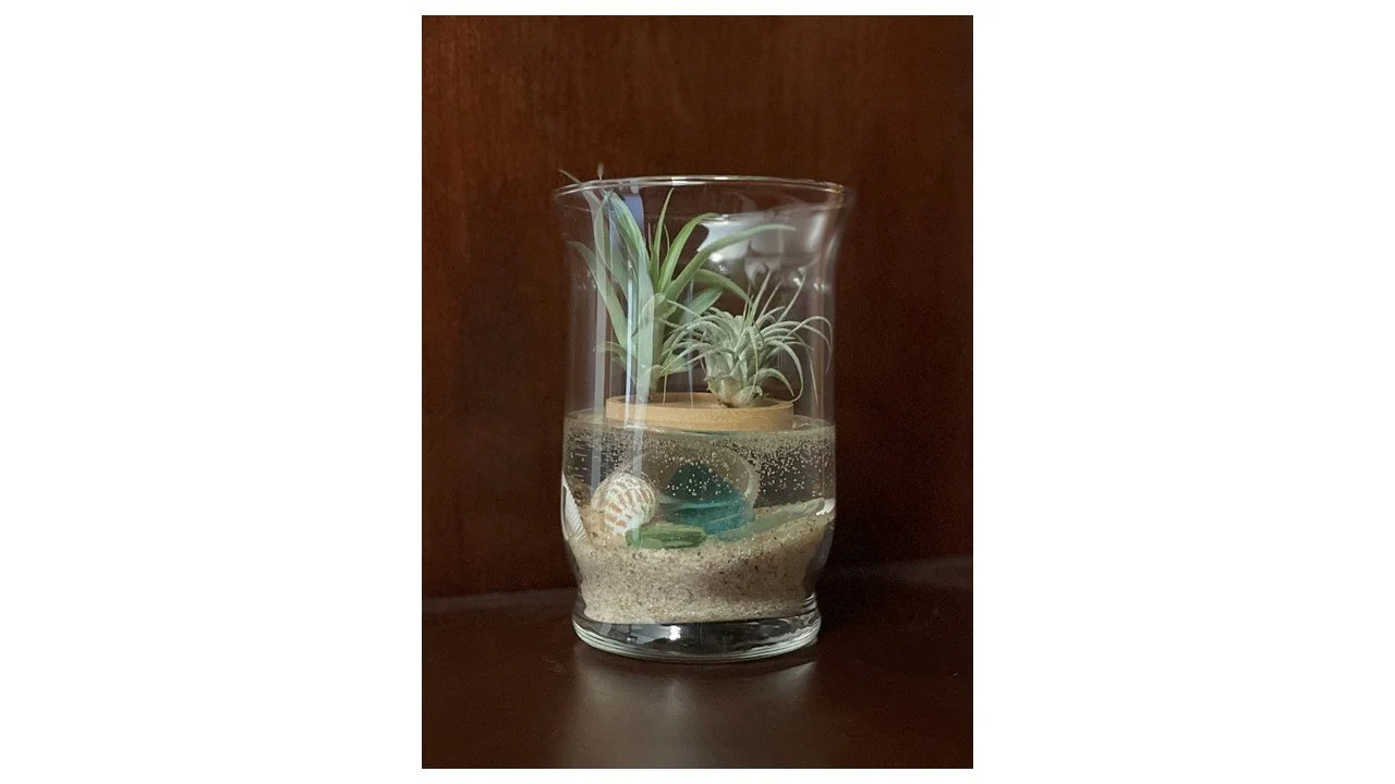 sorellas+boho chic+coastal vibe+handmade+macrame+plant