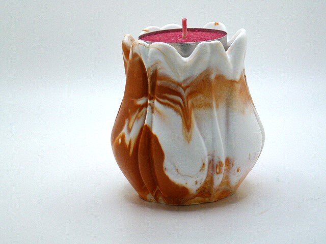 orange white tulipd.JPG