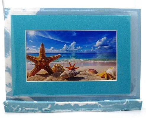 star+fish+on+beacha.png