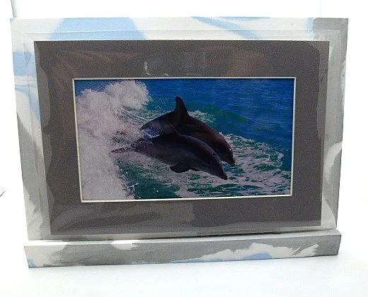 dolphin+photo+frame+c.png