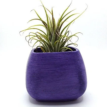 air+plant+prpld.png