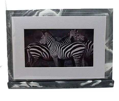 zebra c.JPG