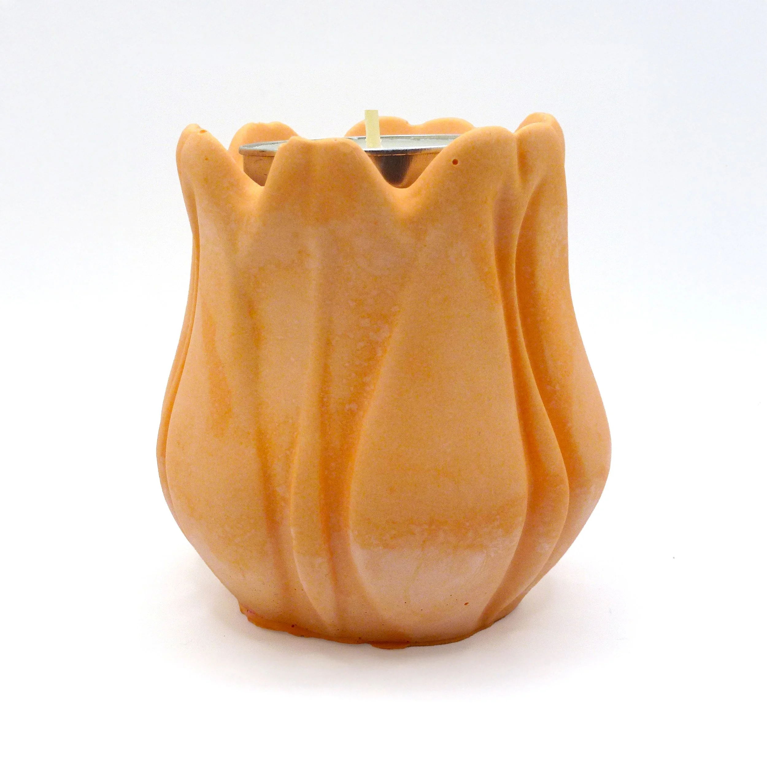 orange tulip copy.jpg