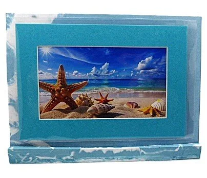 star fish on beache.JPG