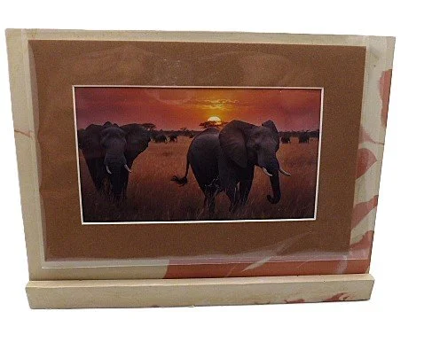 elephant c.JPG