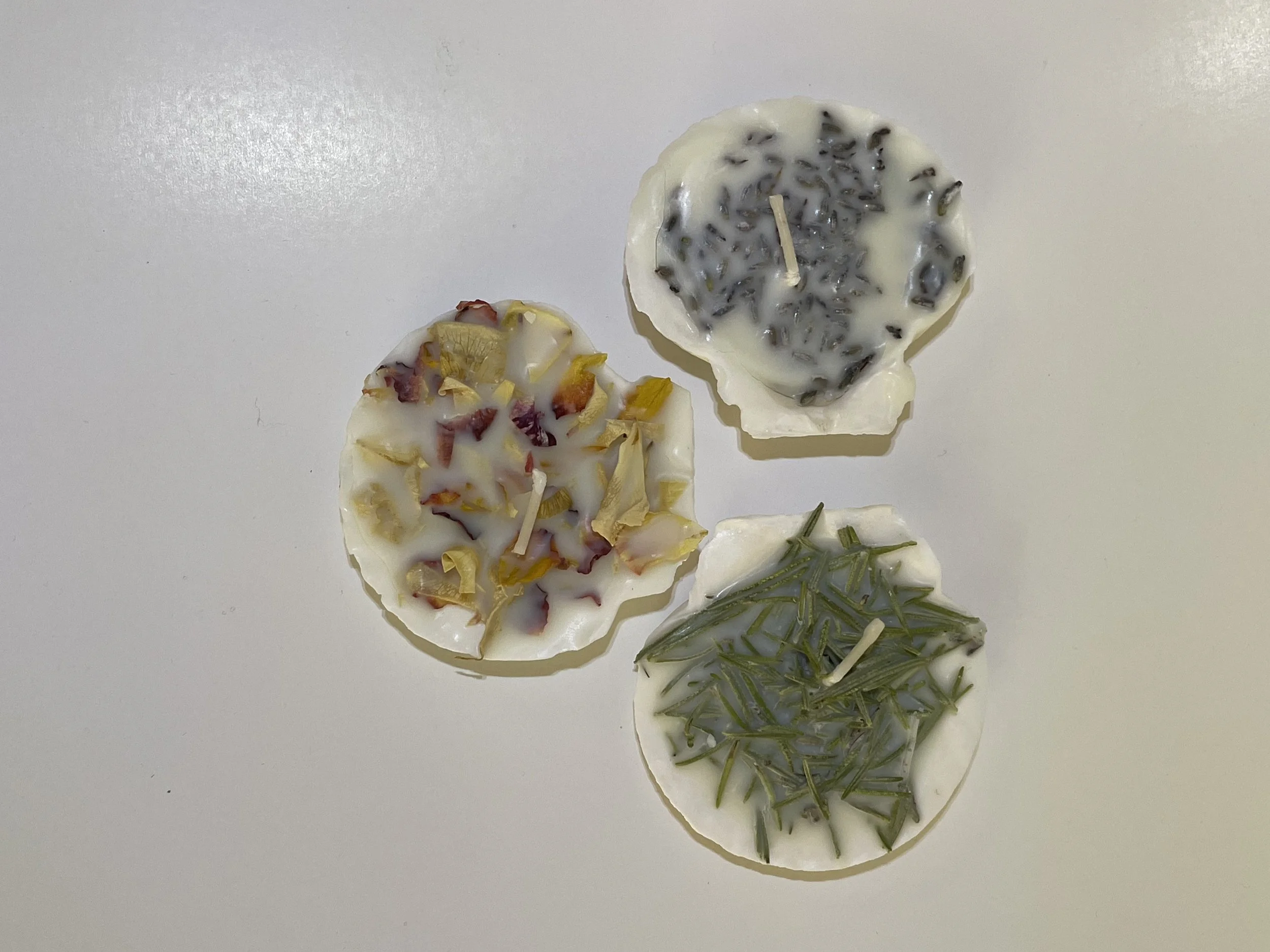 Scallop Shell Soy Wax Candle