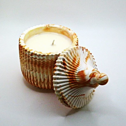 orange+caroa.png