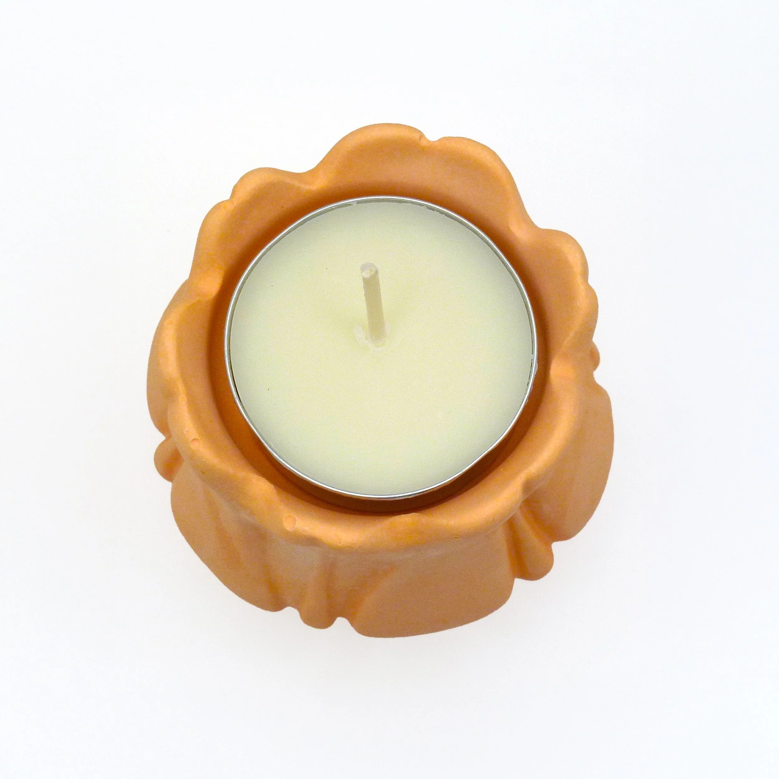 orange tulip b copy.jpg