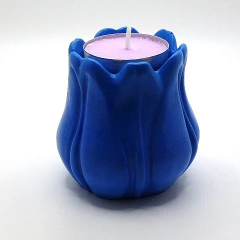 blue+tulipa.png