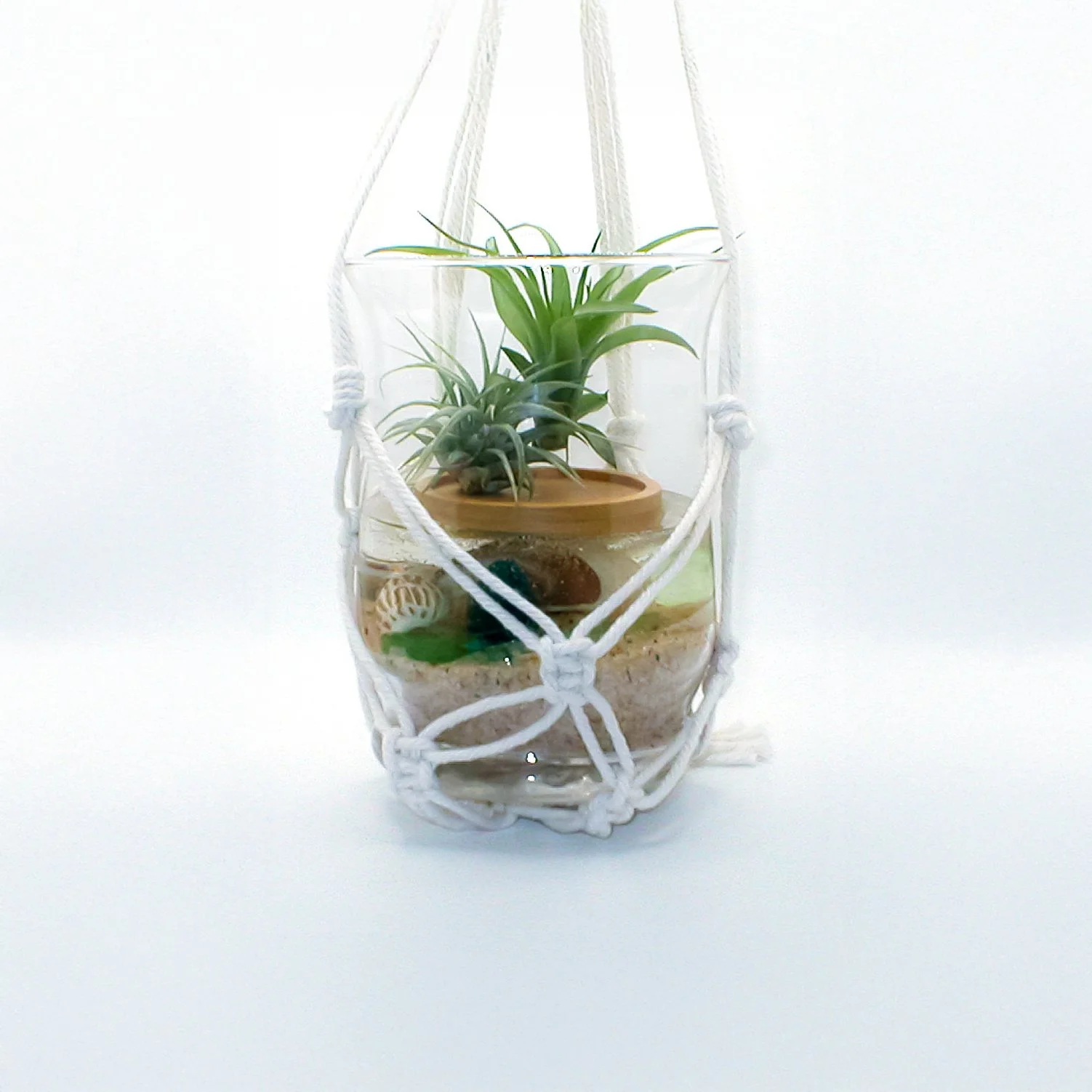 Macrame Plant Hanger