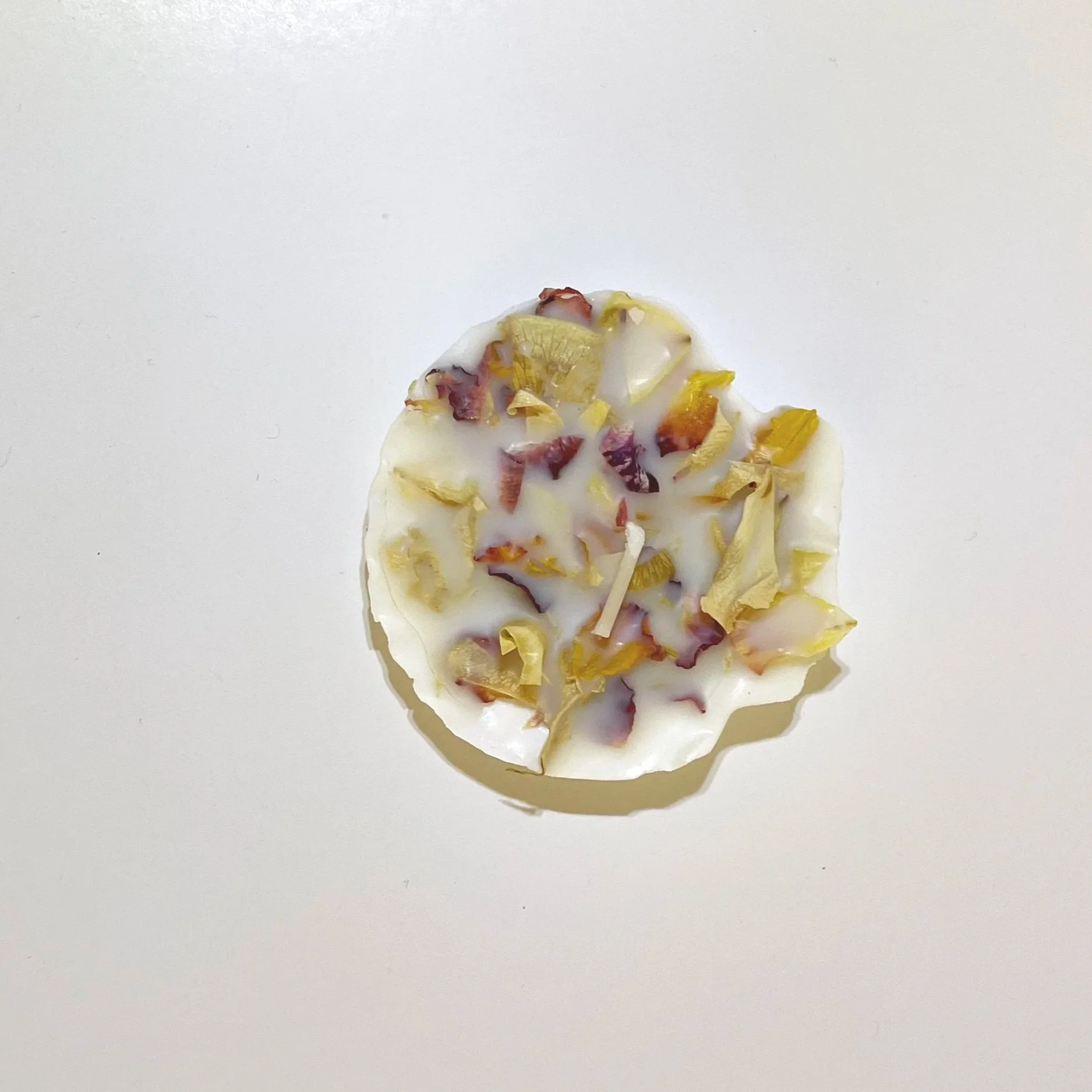 sorellas+candle+home decor+scallop shell+rose