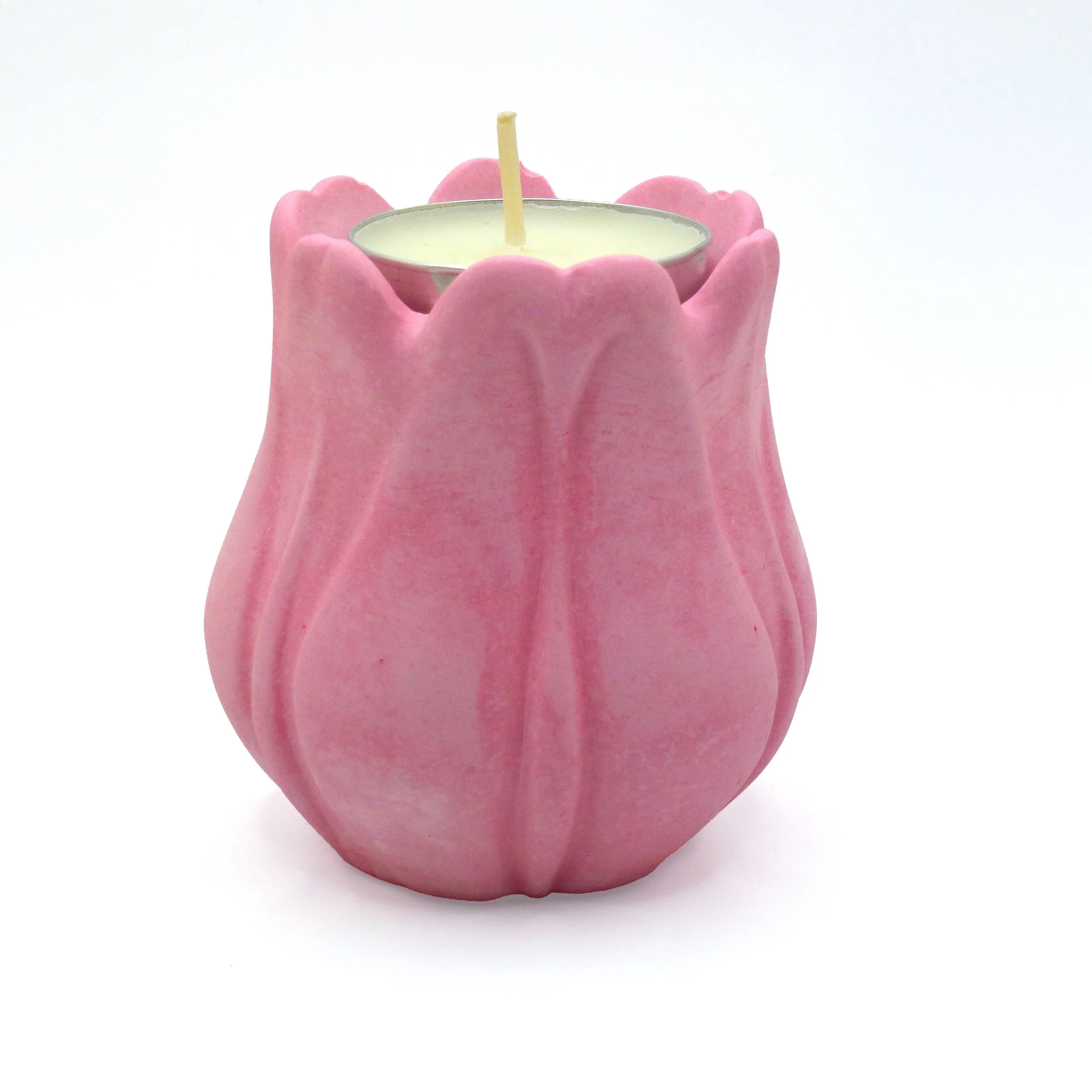 red tulip a copy.jpg