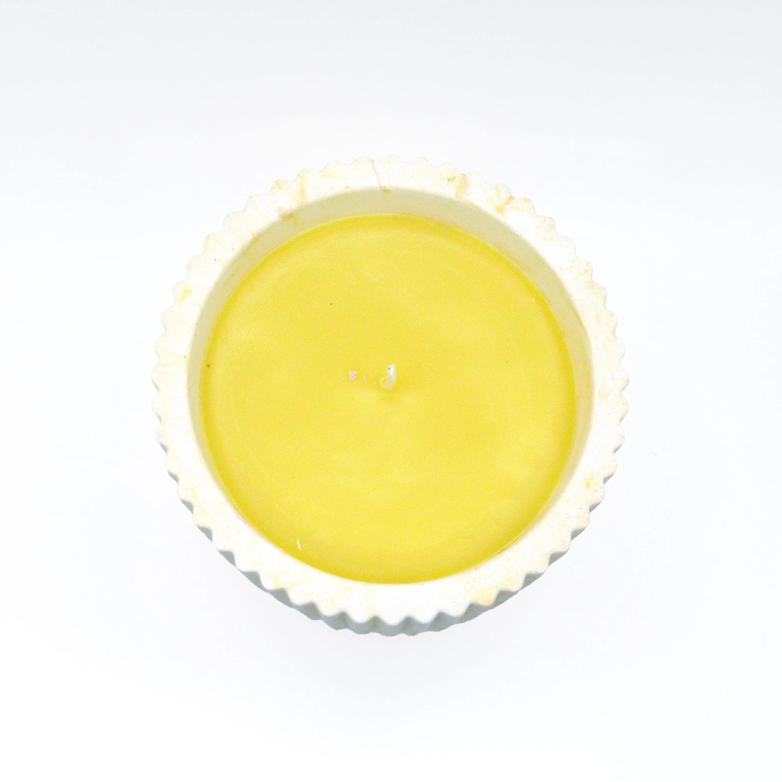 yellow caro d copy.jpg