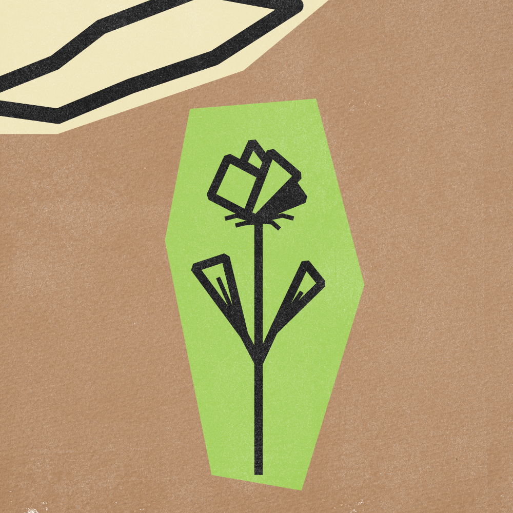 Flower Gif Frames v5-16.png