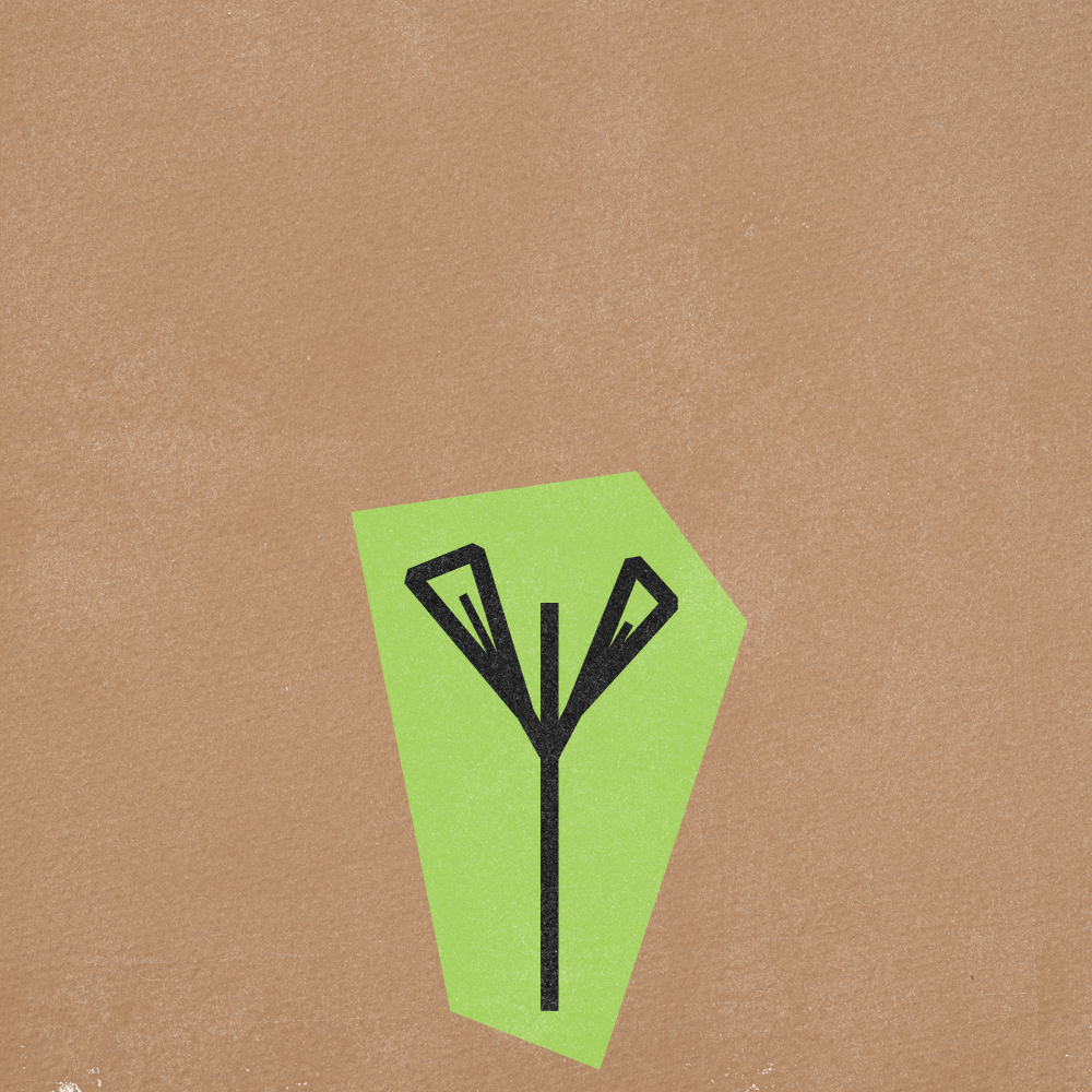 Flower Gif Frames v5-10.png