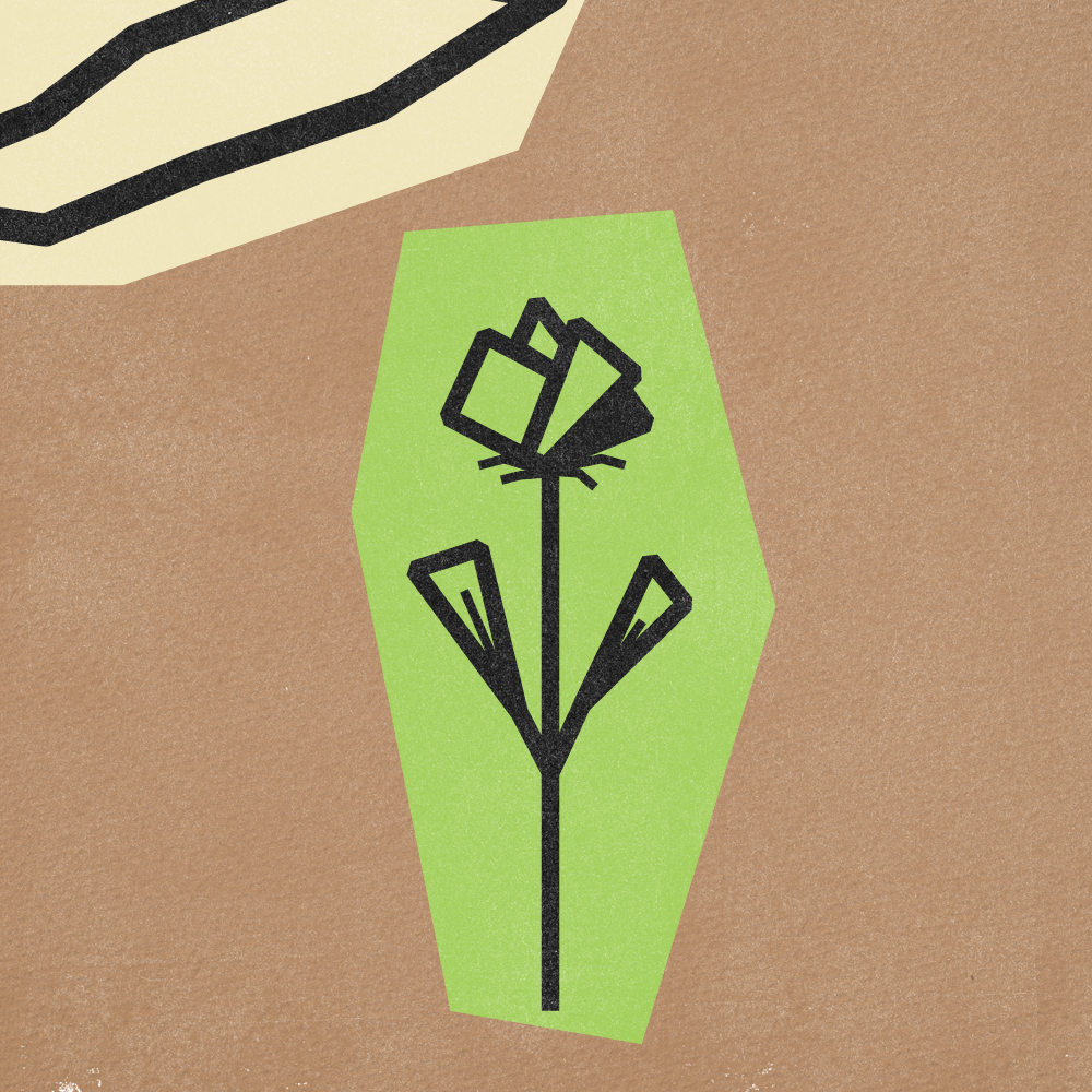 Flower Gif Frames v5-15.png