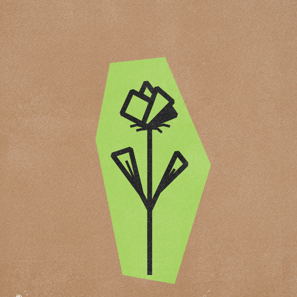 Flower Gif Frames v5-14.png