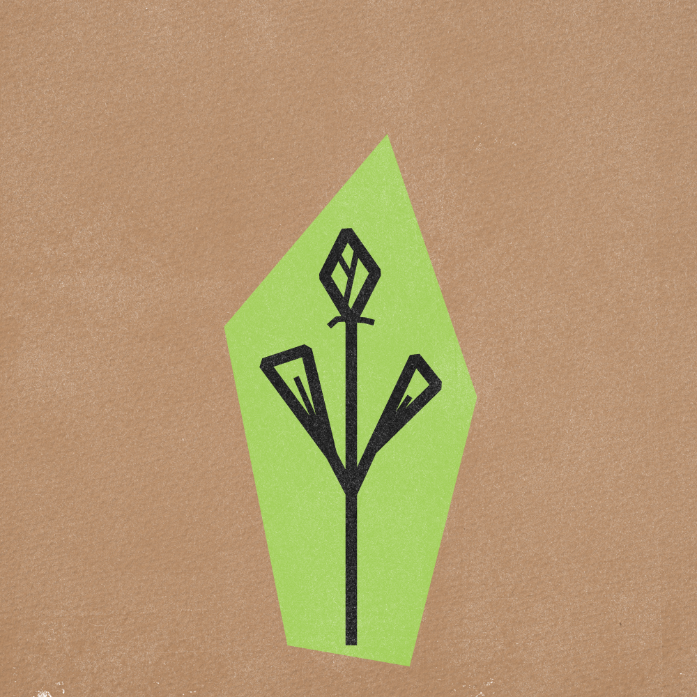 Flower Gif Frames v5-12.png