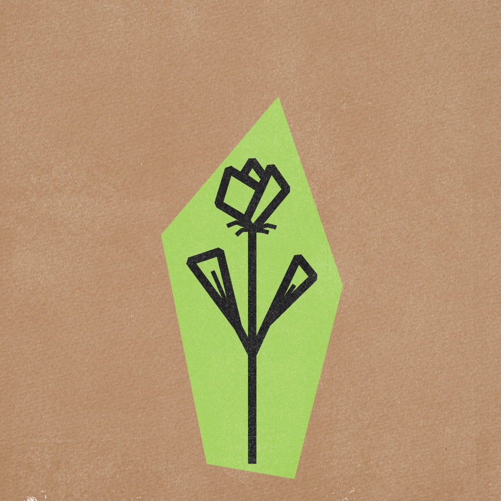 Flower Gif Frames v5-13.png