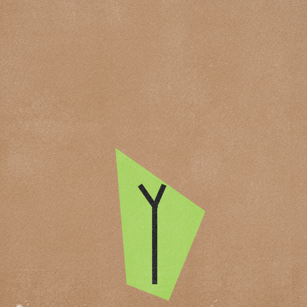 Flower Gif Frames v5-05.png