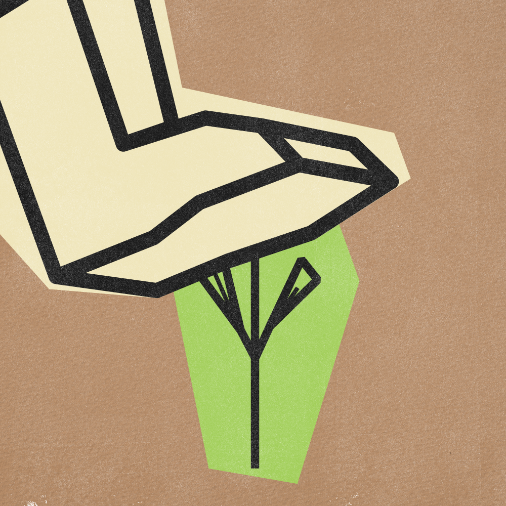 Flower Gif Frames v5-17.png