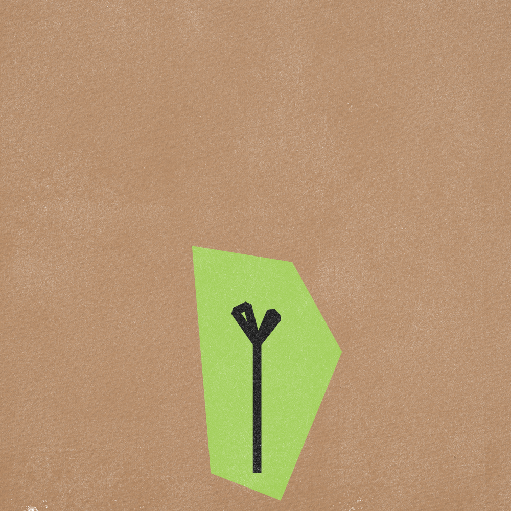 Flower Gif Frames v5-06.png