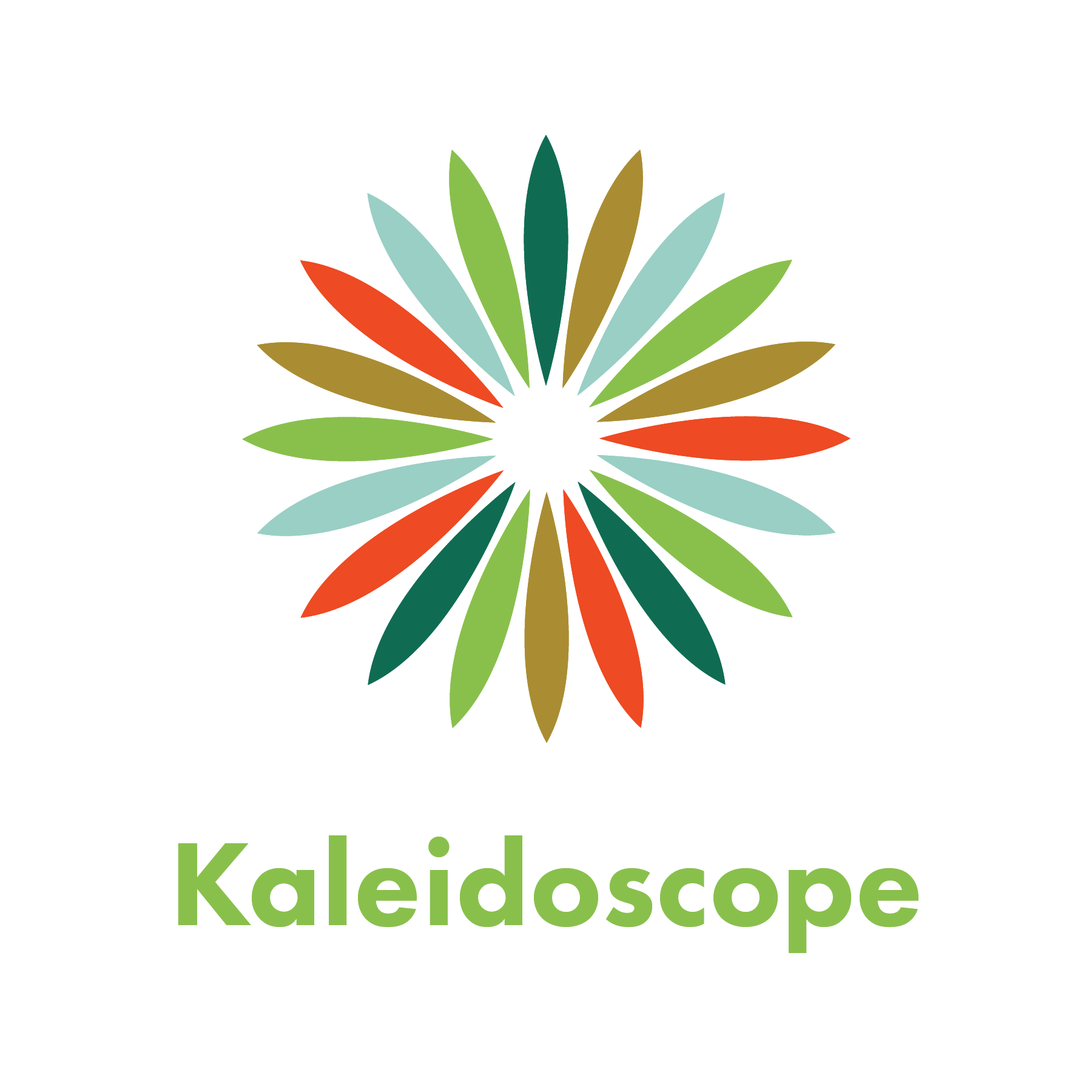 Kaleidsoscope-v6.png