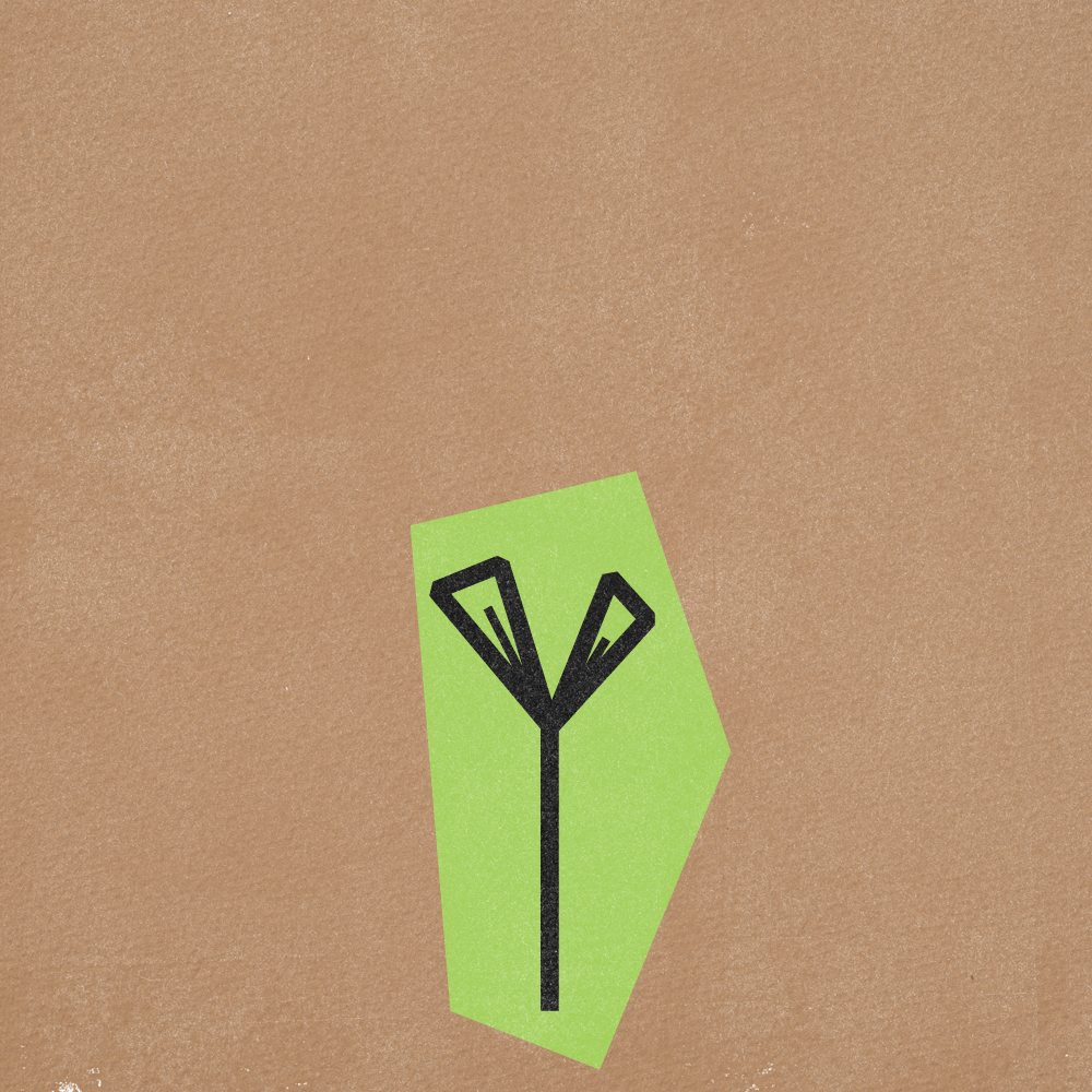 Flower Gif Frames v5-09.png